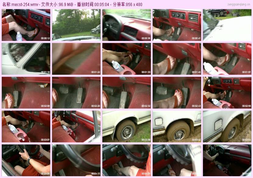 mecst-254